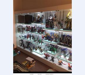 模型展柜 (6)