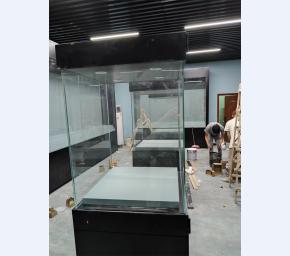 收藏品展柜 (2)